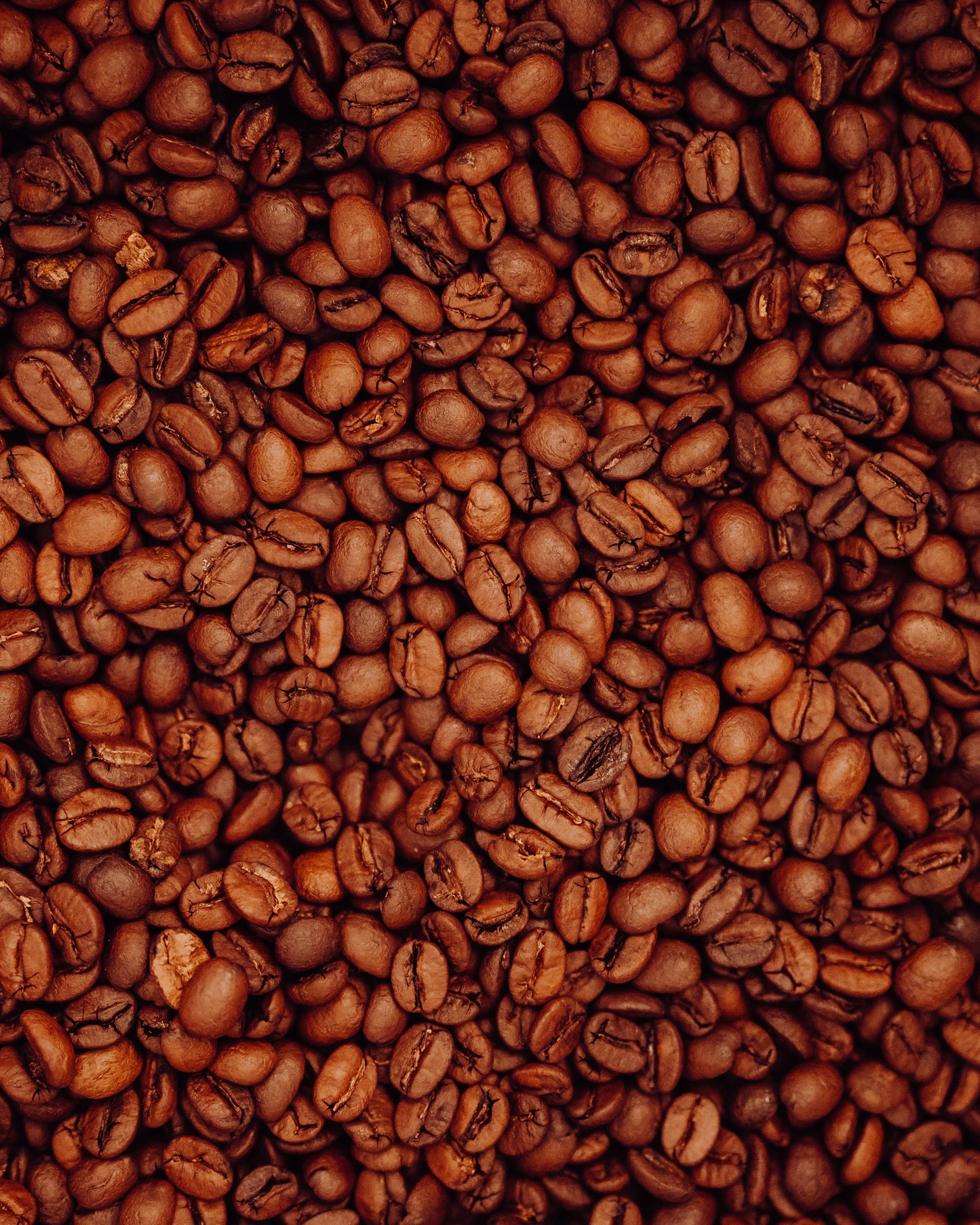 Guatemala 'Single Origin' Coffee Beans
